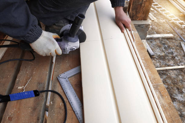 Best Brick Veneer Siding  in Belleview, FL