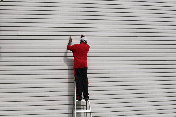 Professional Siding in Belleview, FL